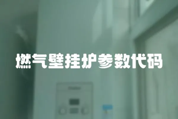 燃氣壁掛爐參數代碼
