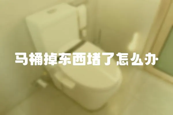 馬桶掉東西堵了怎么辦
