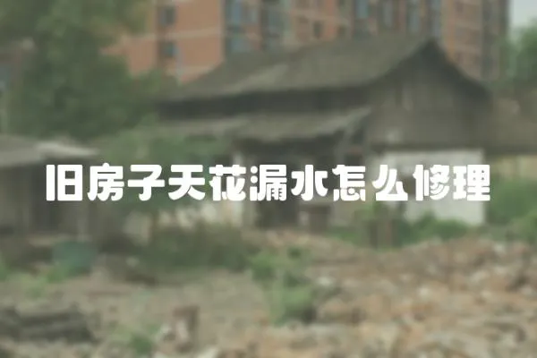 舊房子天花漏水怎么修理