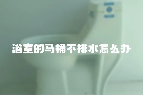 浴室的馬桶不排水怎么辦