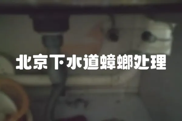 北京下水道蟑螂處理