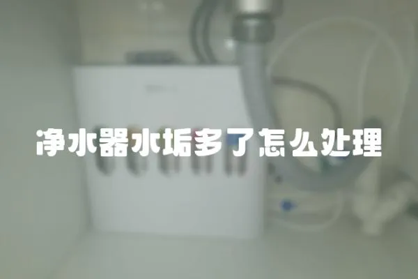 净水器水垢多了怎么处理