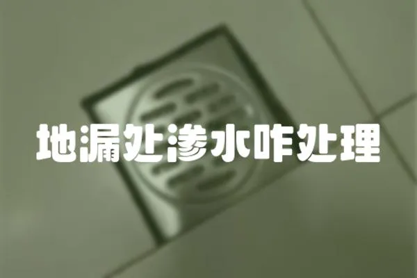 地漏處滲水咋處理