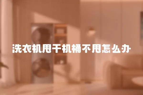 洗衣機(jī)甩干機(jī)桶不甩怎么辦