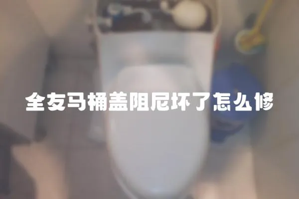 全友馬桶蓋阻尼壞了怎么修