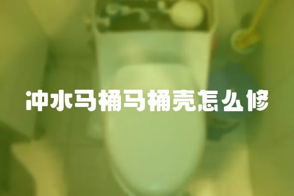 沖水馬桶馬桶殼怎么修