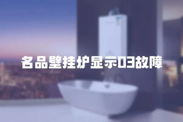 名品壁掛爐顯示03故障