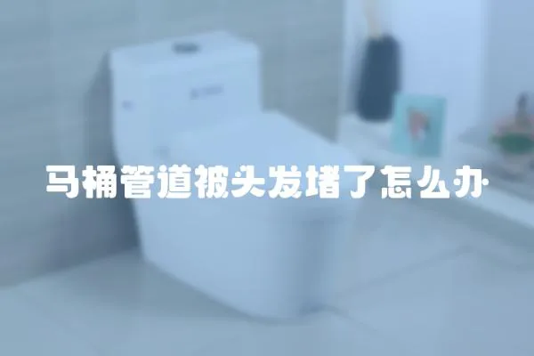 馬桶管道被頭發堵了怎么辦