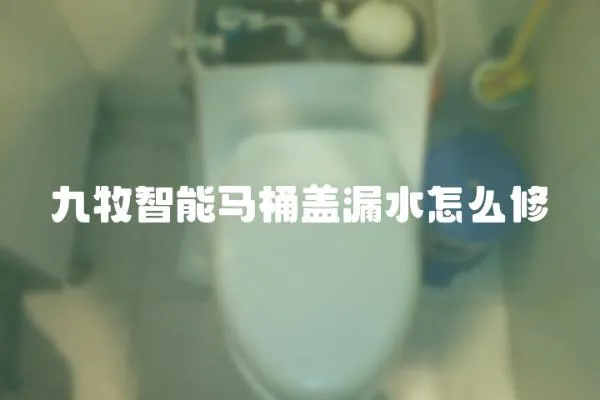九牧智能馬桶蓋漏水怎么修