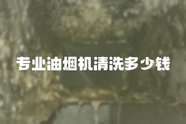 專業油煙機清洗多少錢