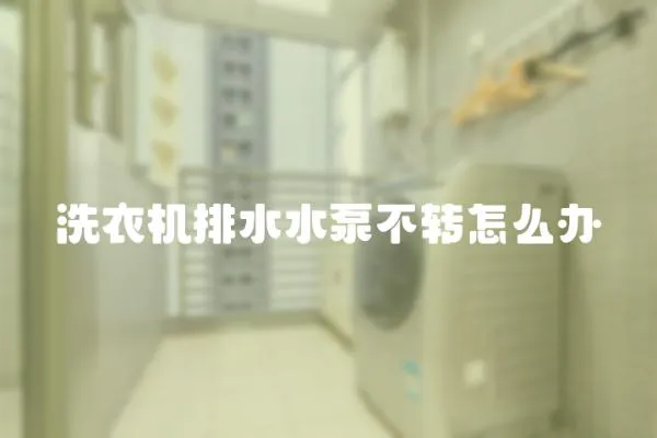 洗衣機排水水泵不轉怎么辦