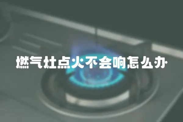 燃?xì)庠铧c(diǎn)火不會(huì)響怎么辦