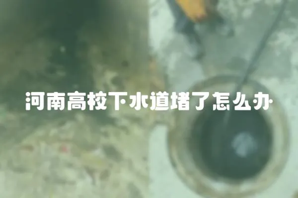 河南高校下水道堵了怎么辦