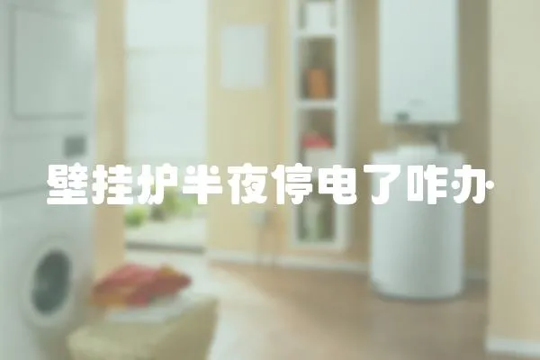 壁掛爐半夜停電了咋辦