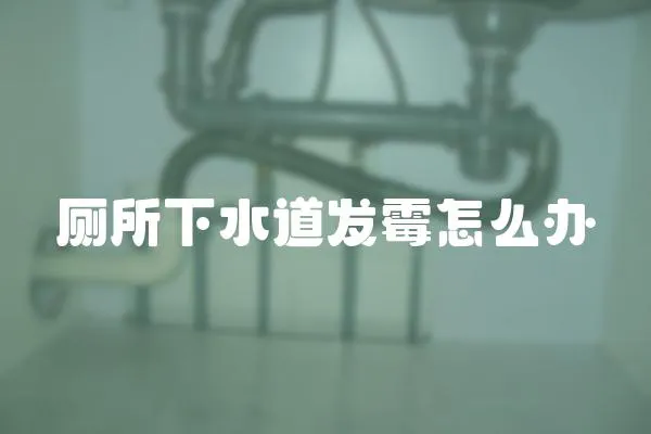 廁所下水道發(fā)霉怎么辦