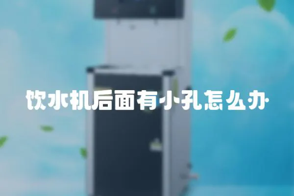 飲水機后面有小孔怎么辦