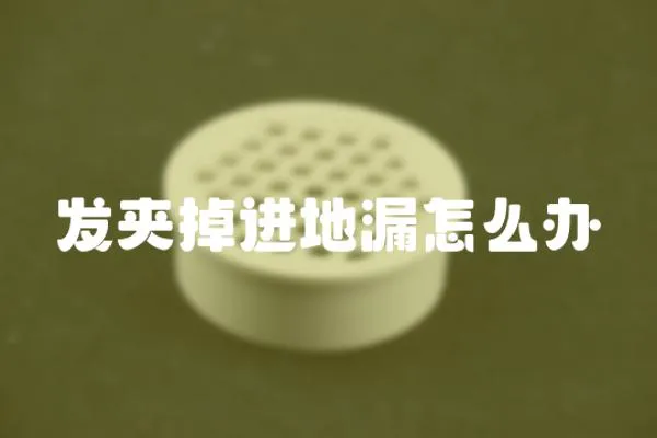 發夾掉進地漏怎么辦