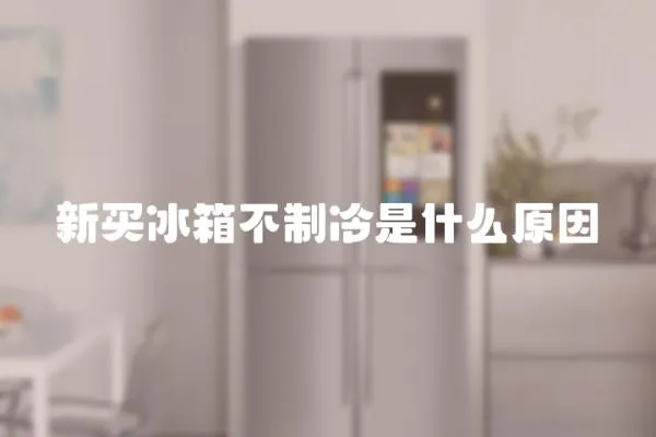 新買冰箱不制冷是什么原因