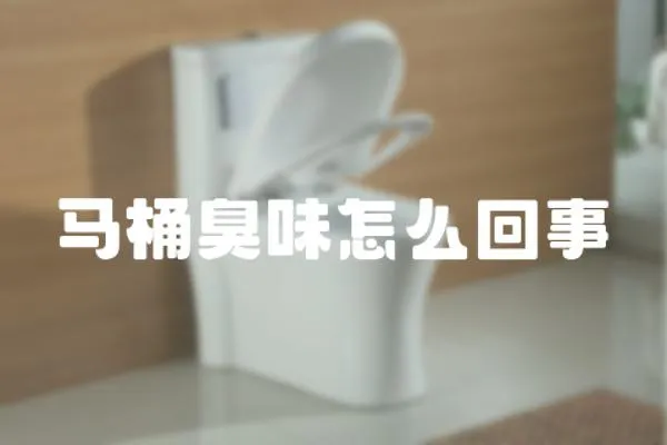 馬桶臭味怎么回事