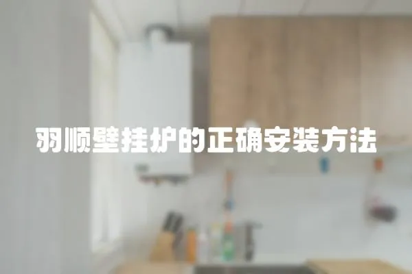 羽順壁掛爐的正確安裝方法
