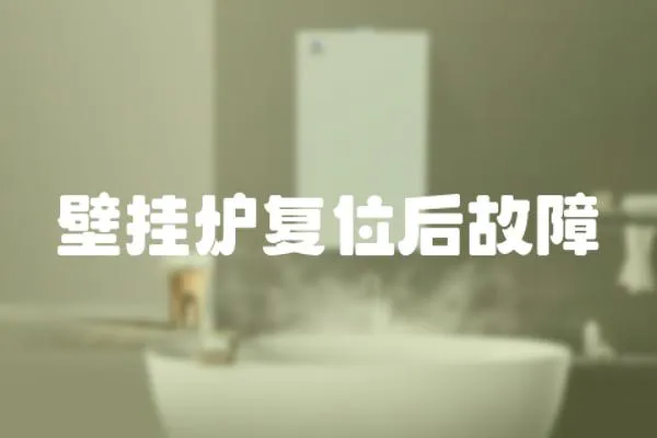 壁掛爐復位后故障