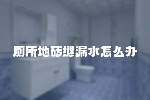 廁所地磚縫漏水怎么辦