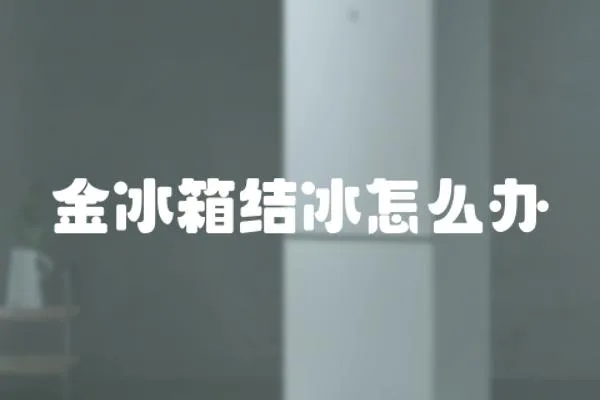 金冰箱結(jié)冰怎么辦
