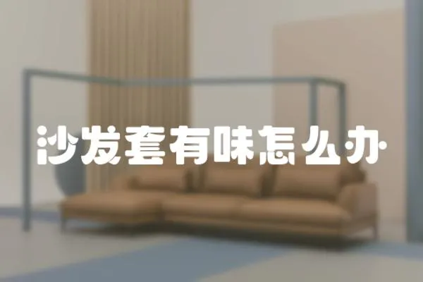 沙發套有味怎么辦