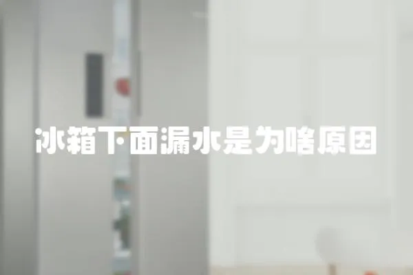 冰箱下面漏水是為啥原因
