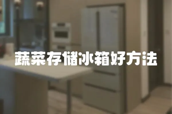 蔬菜存儲冰箱好方法
