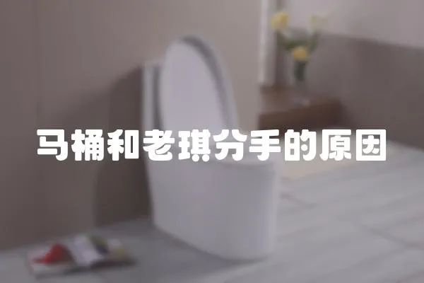 馬桶和老琪分手的原因