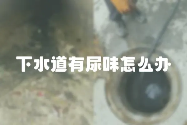 下水道有尿味怎么辦