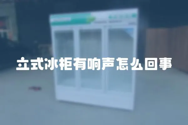 立式冰柜有響聲怎么回事