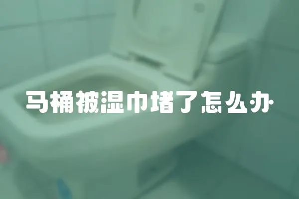 馬桶被濕巾堵了怎么辦
