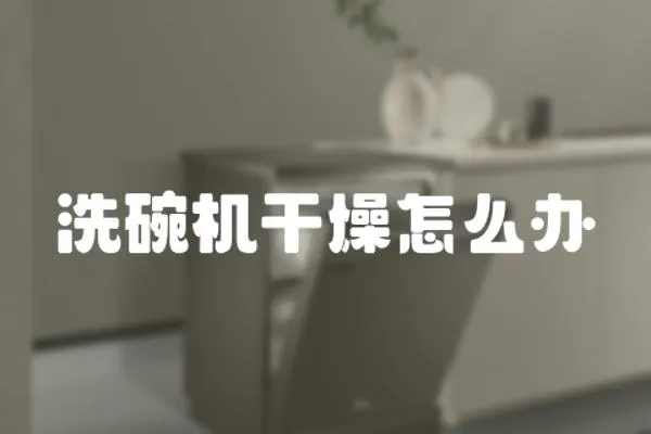 洗碗機干燥怎么辦