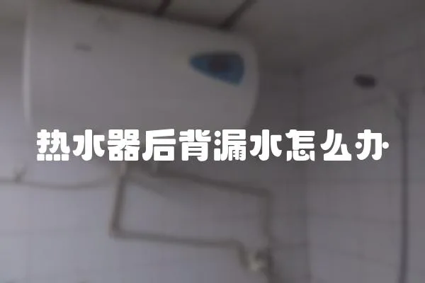 熱水器后背漏水怎么辦