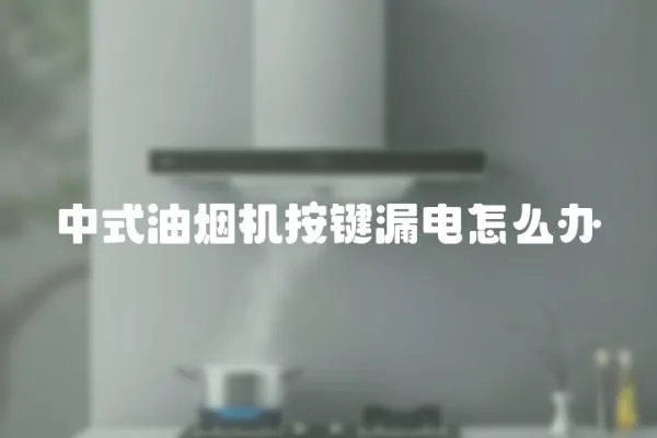 中式油煙機按鍵漏電怎么辦