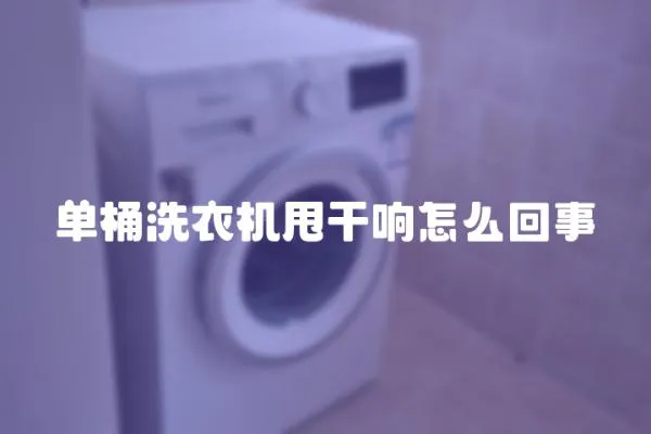 單桶洗衣機甩干響怎么回事