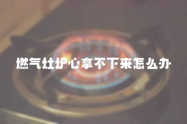 燃氣灶爐心拿不下來怎么辦