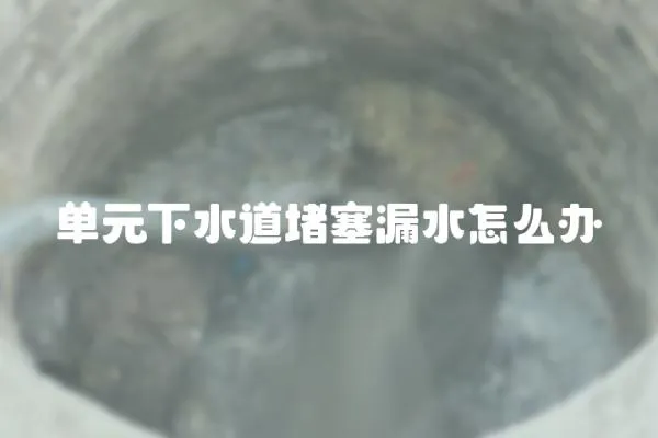 單元下水道堵塞漏水怎么辦