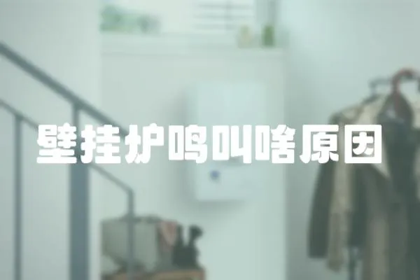 壁掛爐鳴叫啥原因
