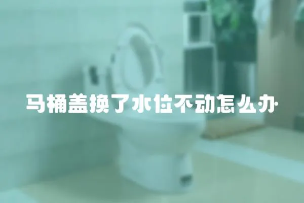 馬桶蓋換了水位不動怎么辦