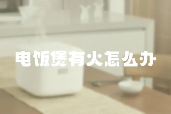 電飯煲有火怎么辦