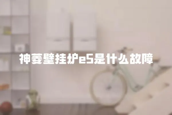 神菱壁掛爐e5是什么故障