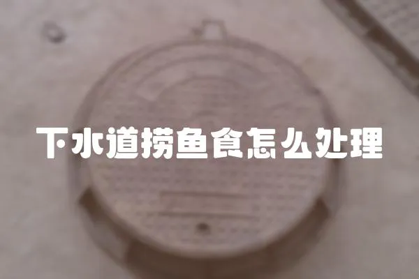 下水道撈魚食怎么處理