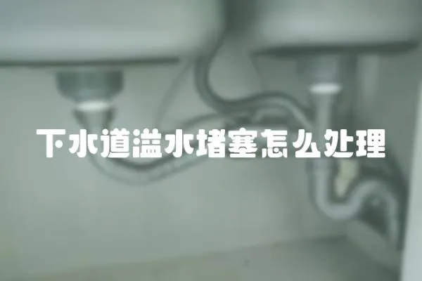 下水道溢水堵塞怎么處理