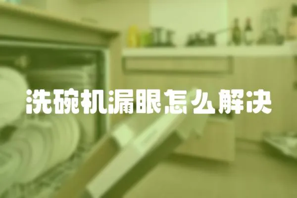洗碗機漏眼怎么解決
