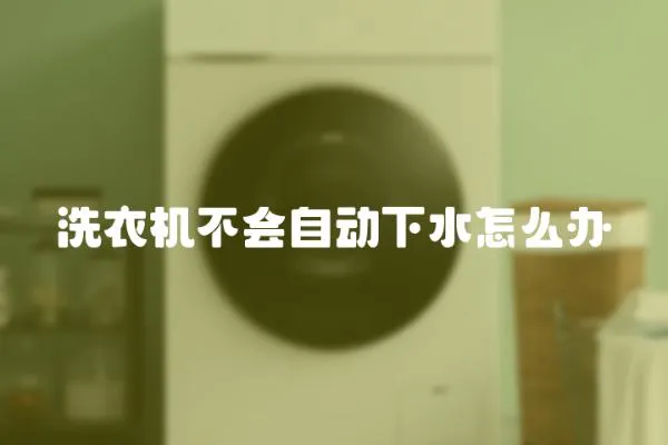 洗衣機不會自動下水怎么辦