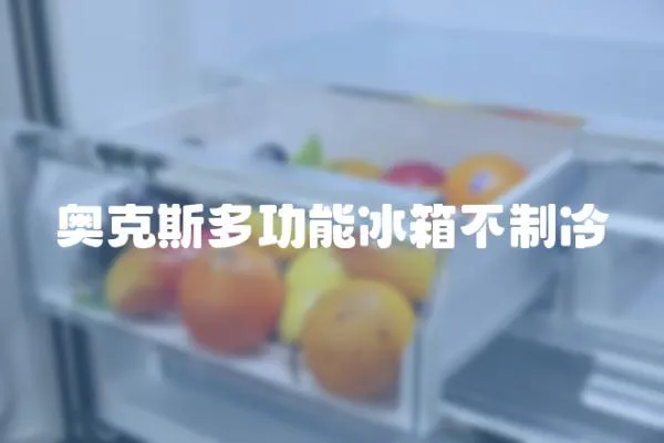 奧克斯多功能冰箱不制冷