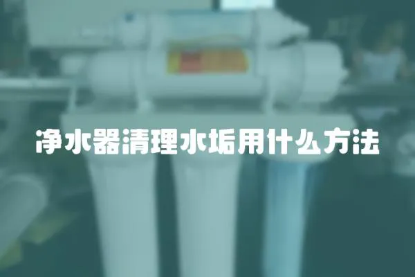 凈水器清理水垢用什么方法